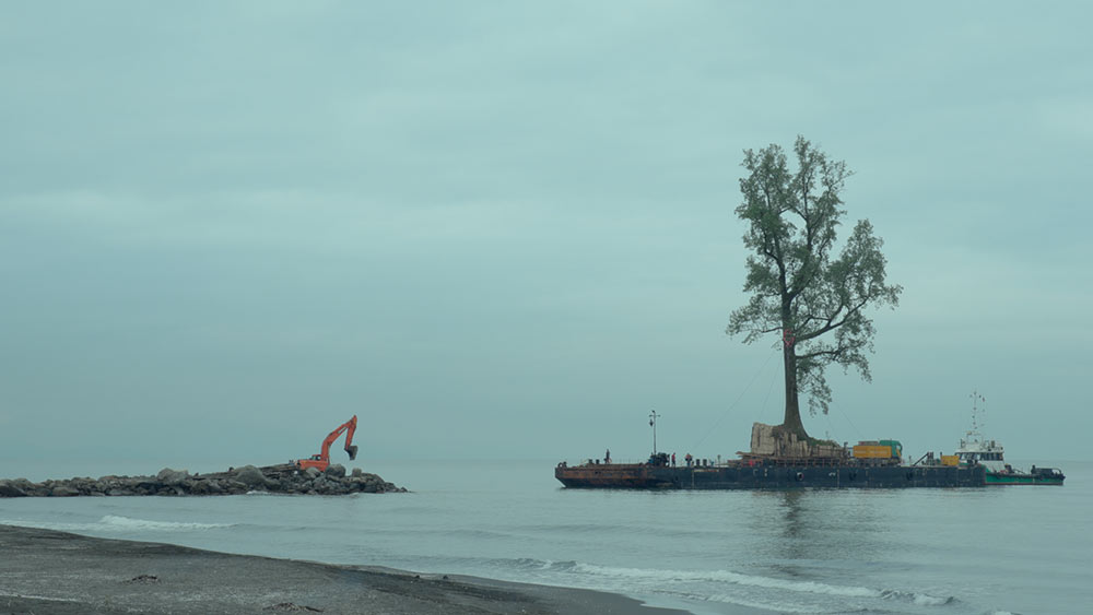 A transplanted tree from the Georgian coastline arrives at the private garden. Image courtesy of Mira Film, CORSO Film and Sakdoc Film.