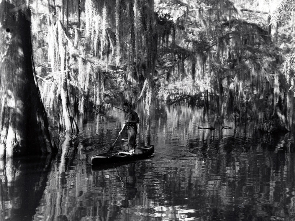Louisiana Story