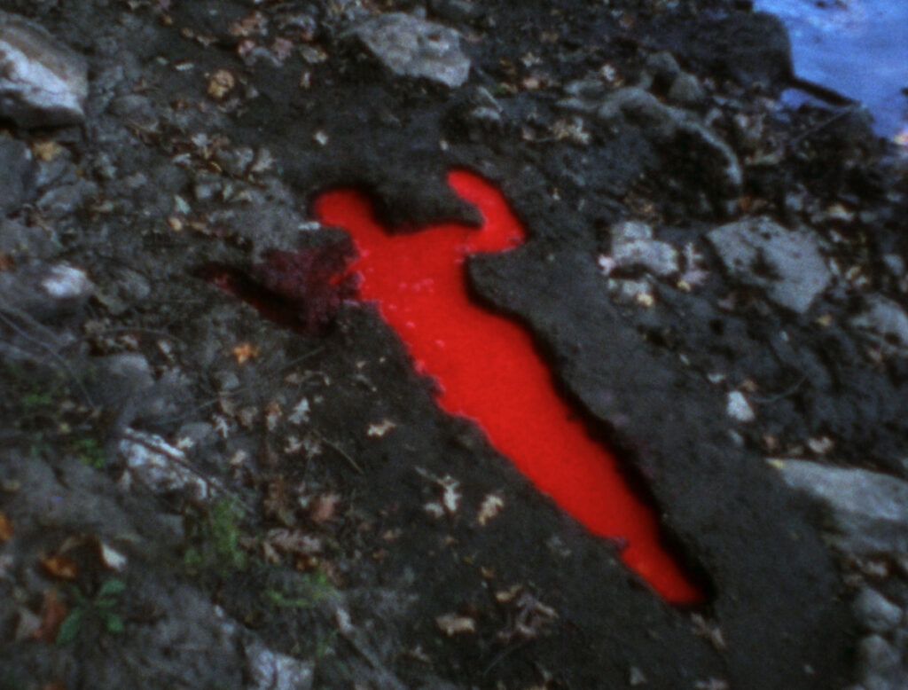Ana Mendieta: Back to the Source