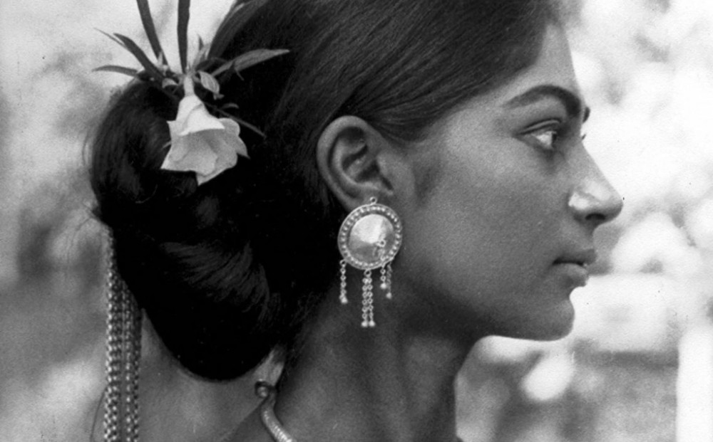 Days and Nights in the Forest