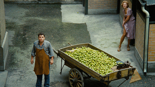 The Merchant of Four Seasons