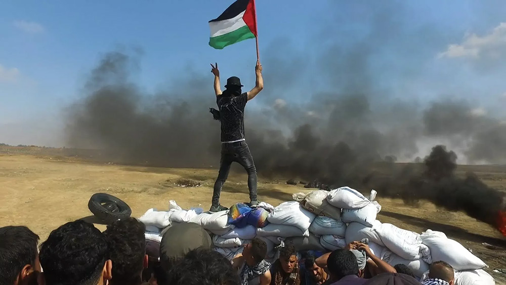 Gaza Fights for Freedom