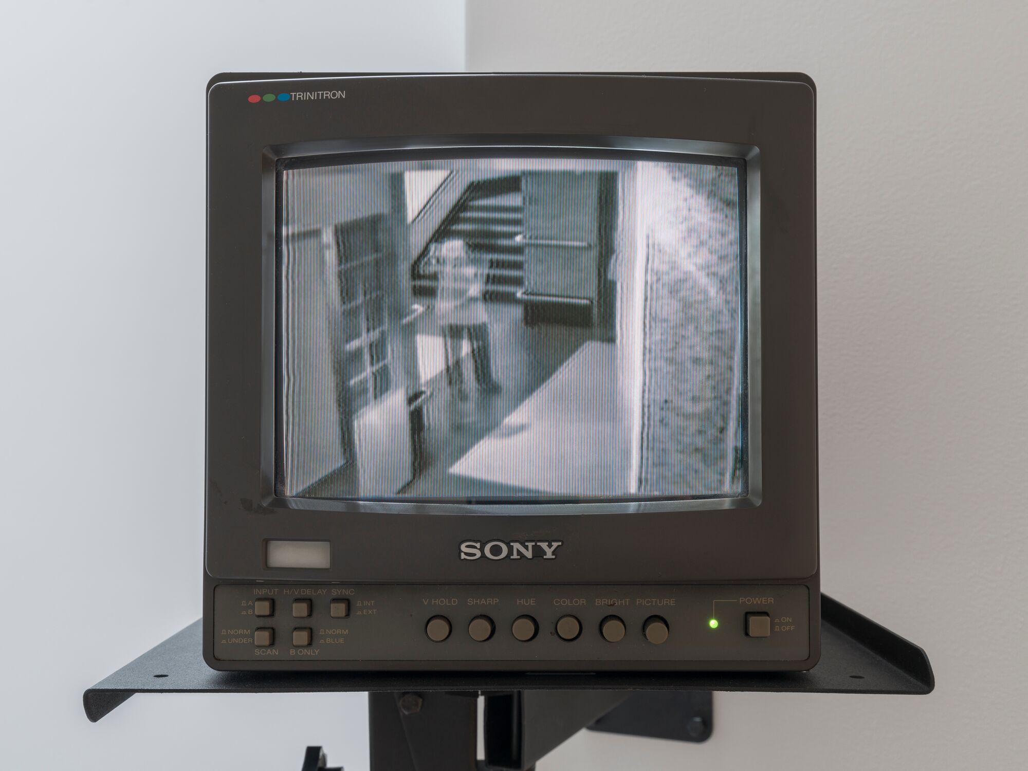 Ellen Pau: Operation Theatre 