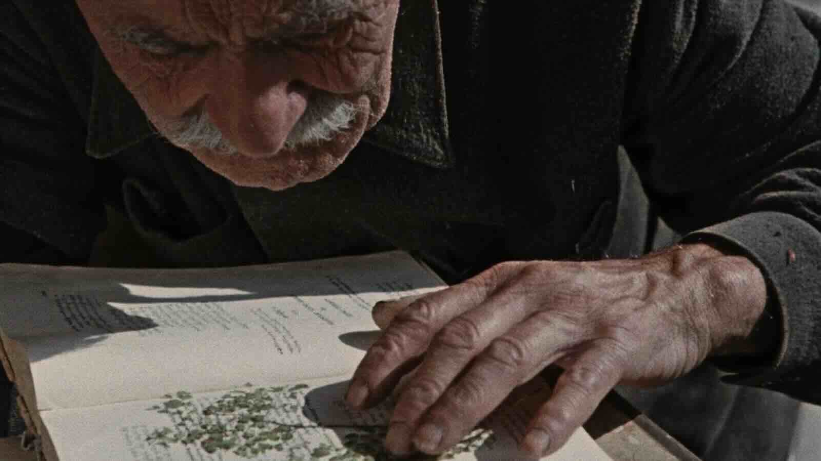 Otar Iosseliani Early Shorts Program