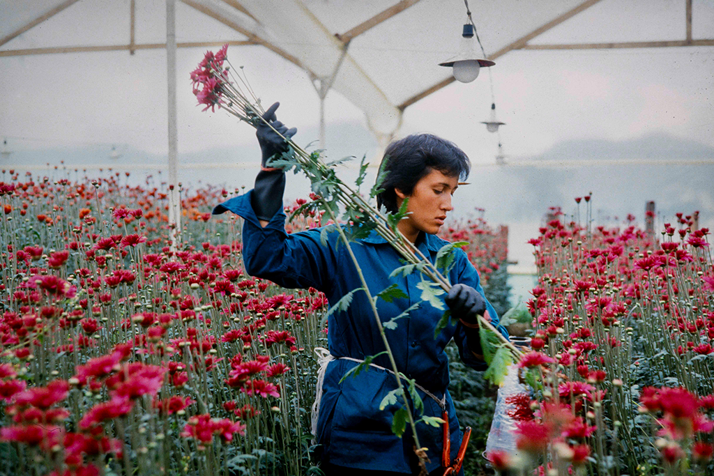 love, women and flowers