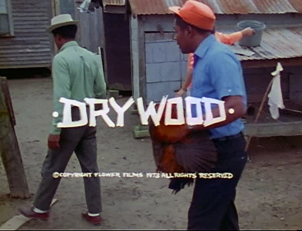 140902 Dry Wood Post