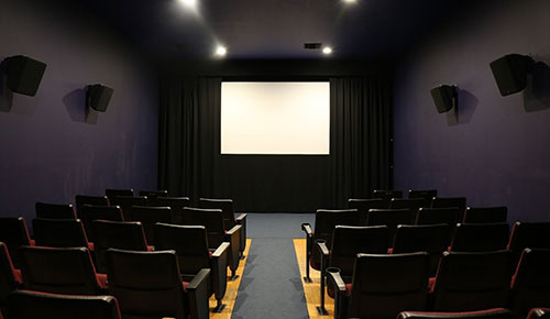 Maysles Cinema