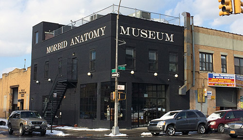 Morbid Anatomy Museum