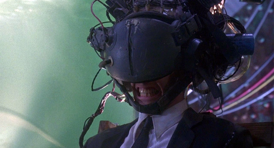 Johnny Mnemonic Dolphin