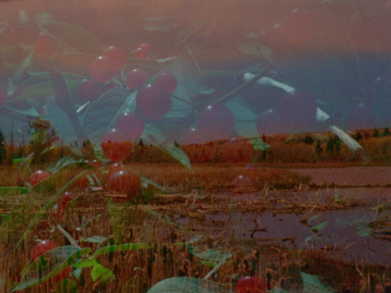 Mounds Above the Earth (2025), Jiayi Chen