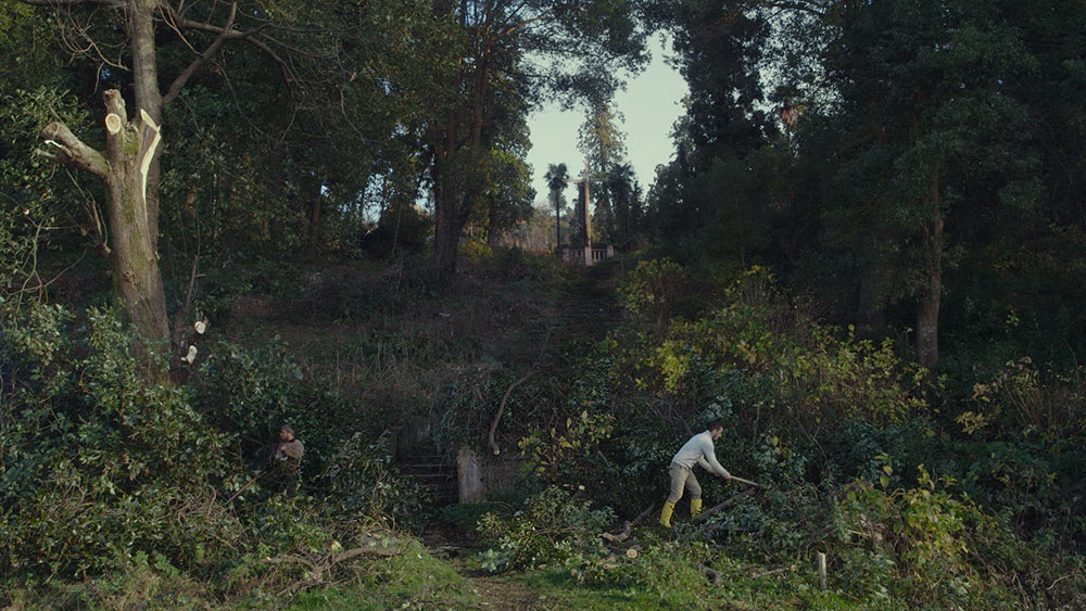 Workings uprooting trees at a location on the Georgian coastline for transplant. Image courtesy of Mira Film, CORSE Film and Sakdoc Film.