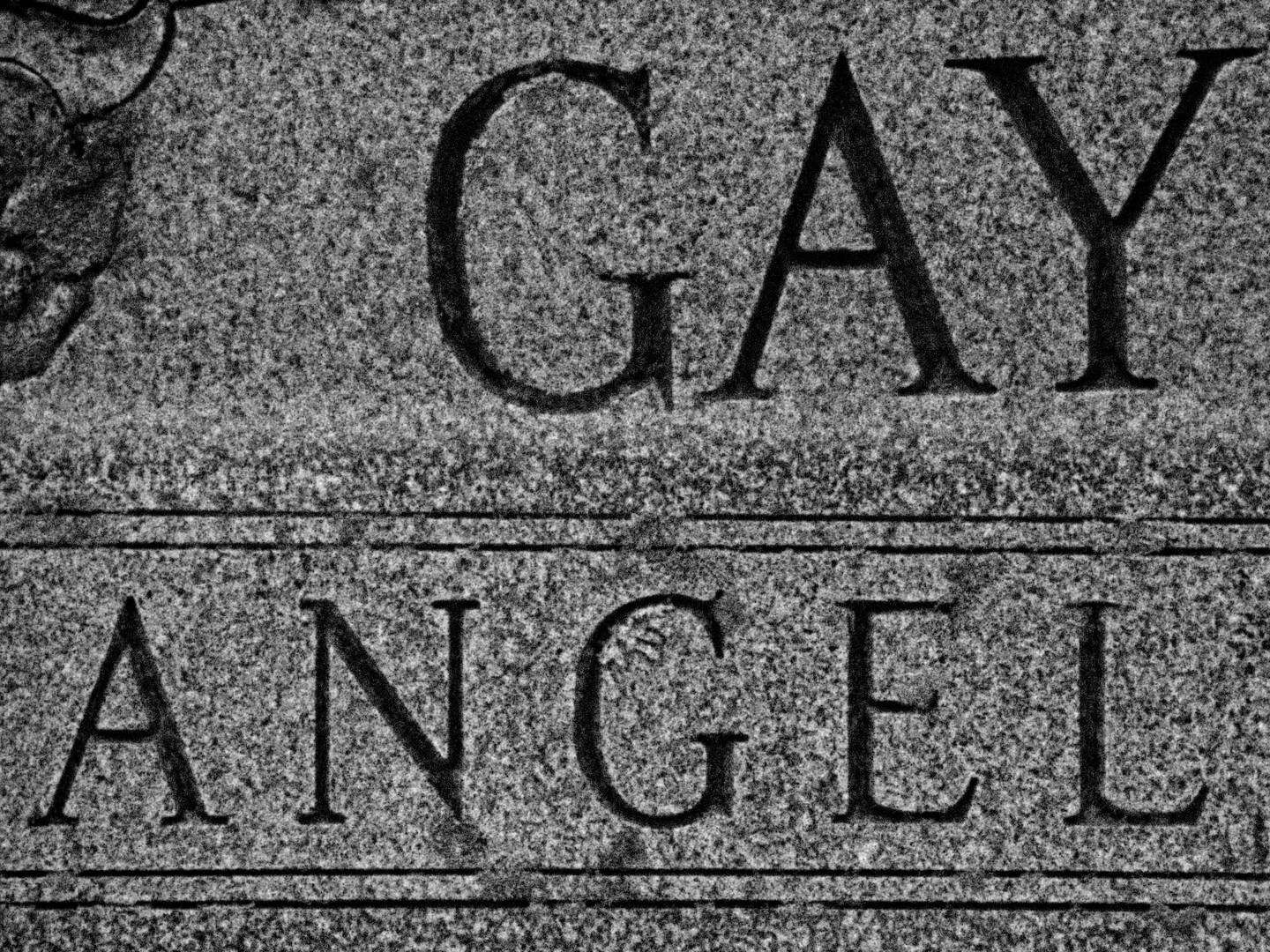 Joy Boy: A Tribute to Julius Eastman (Collective Faire-Part, 2026, 64min)