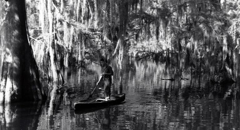 Louisiana Story