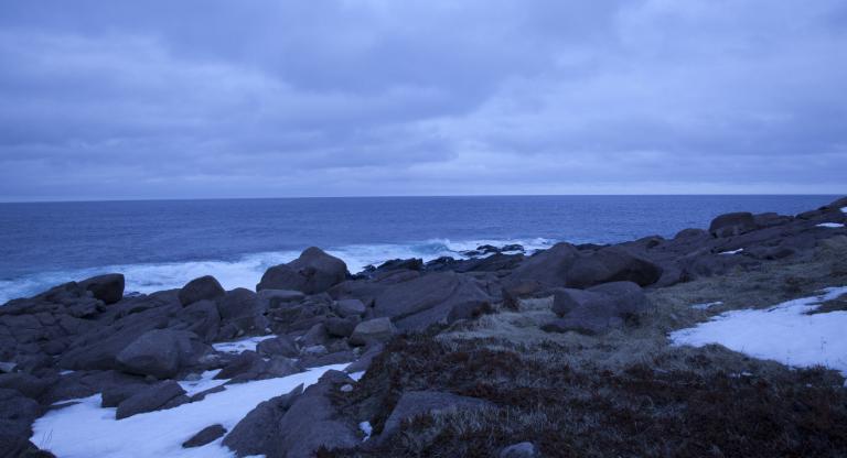 dUANE lINKLATER, sUNRISE AT cAPE sPEAR