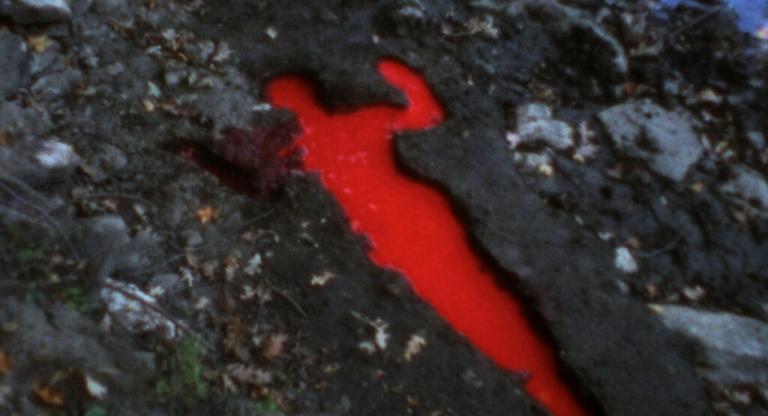 Ana Mendieta: Back to the Source