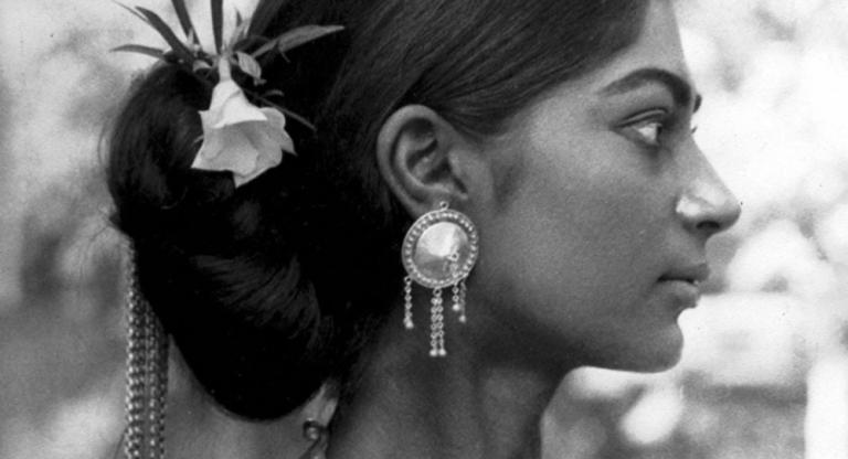 Days and Nights in the Forest