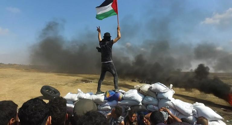 Gaza Fights for Freedom