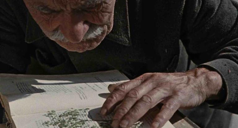 Otar Iosseliani Early Shorts Program