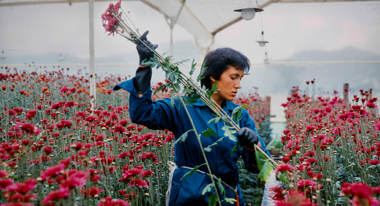 love, women and flowers